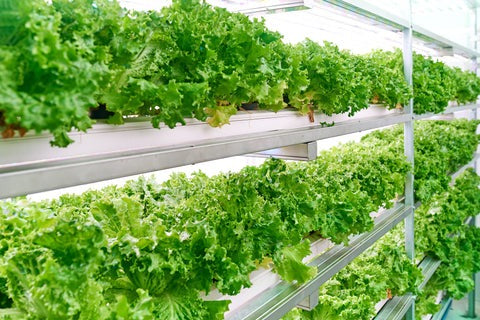 Shipping Containers for Agriculture and Farming: The Complete Farm Storage Guide