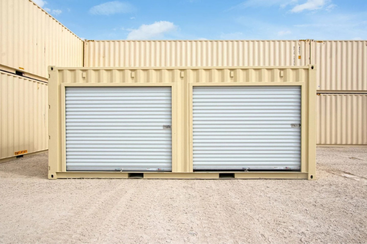 20 ft Shipping Container with Roll-Up Door for Sale (20STRU)